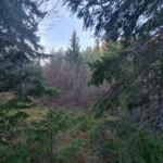 20201109_154329